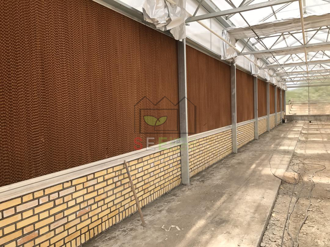 پد سلولزی نصبشده در سیستم پد و فن گلخانه برای خنکسازی