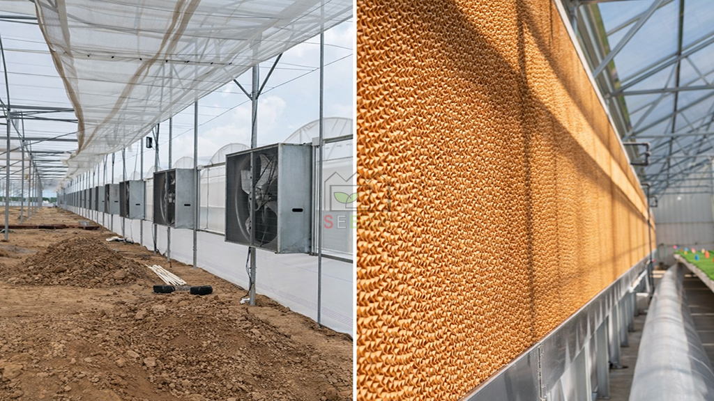 سیستم سرمایش پد و فن در کنترل اقلیم گلخانه