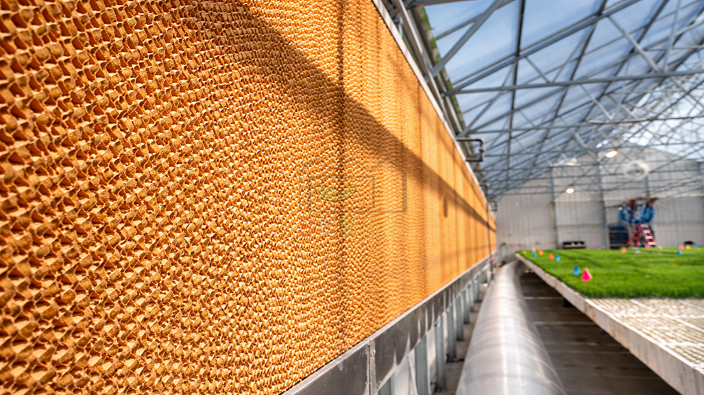 نصب پد سلولزی در سیستم سرمایش گلخانه