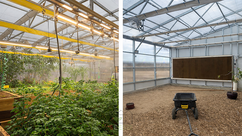 تجهیزات سرمایش و تجهیزات جانبی گلخانه برای کشت کاهو