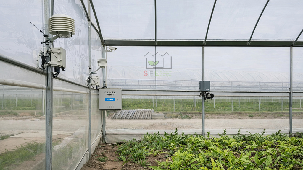 سنسور دما و رطوبت در سیستم کنترل اقلیم گلخانه