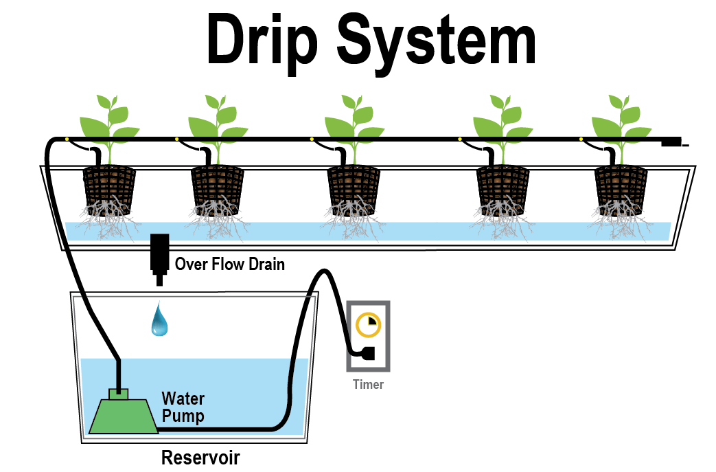 سیستم قطره‌ای هیدروپونیک (Drip System) انوع کشت هیدروپونیک در گلخانه لوازم کشت هیدروپونیک شرکت مهندسی تجهیز گستر صدستون 