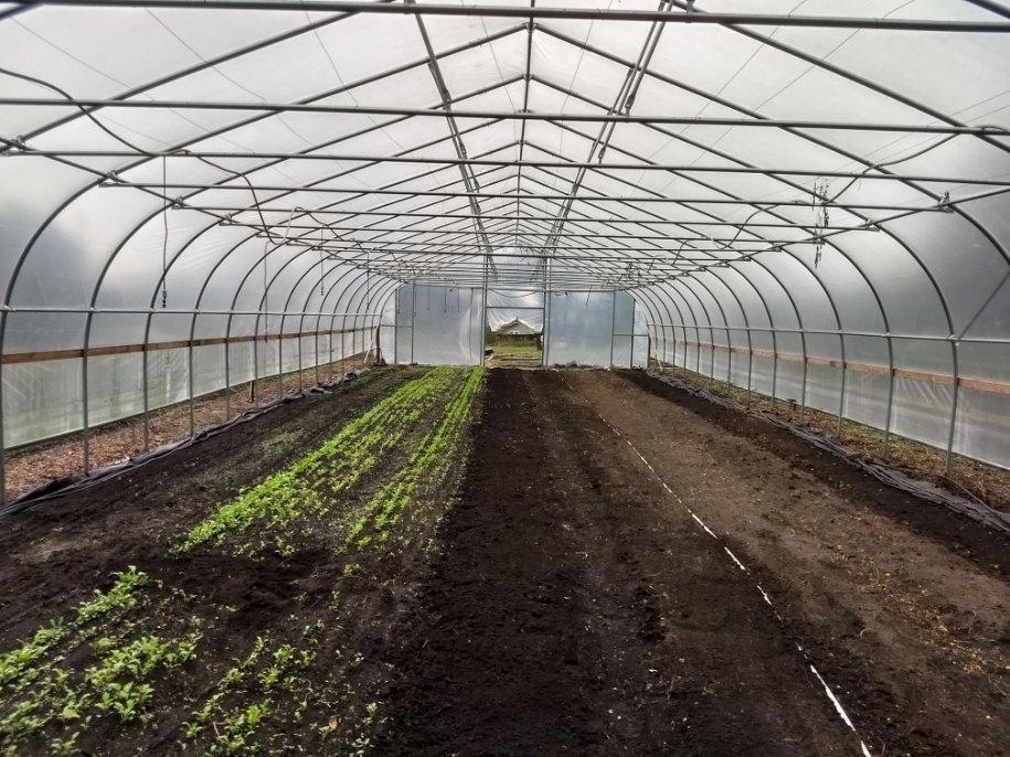 Greenhouse Plastic (Greenhouse Film)