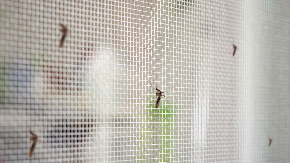 Buying Guide for Greenhouse Insect Nets