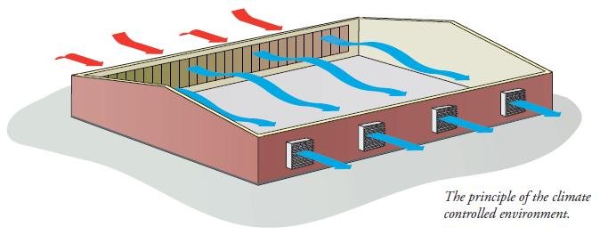 سیستم سرمایشی پد و فن گلخانه 