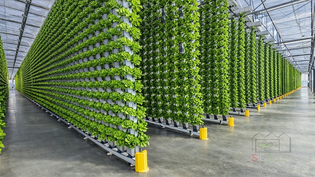 سیستم کشت عمودی هیدروپونیک در گلخانه