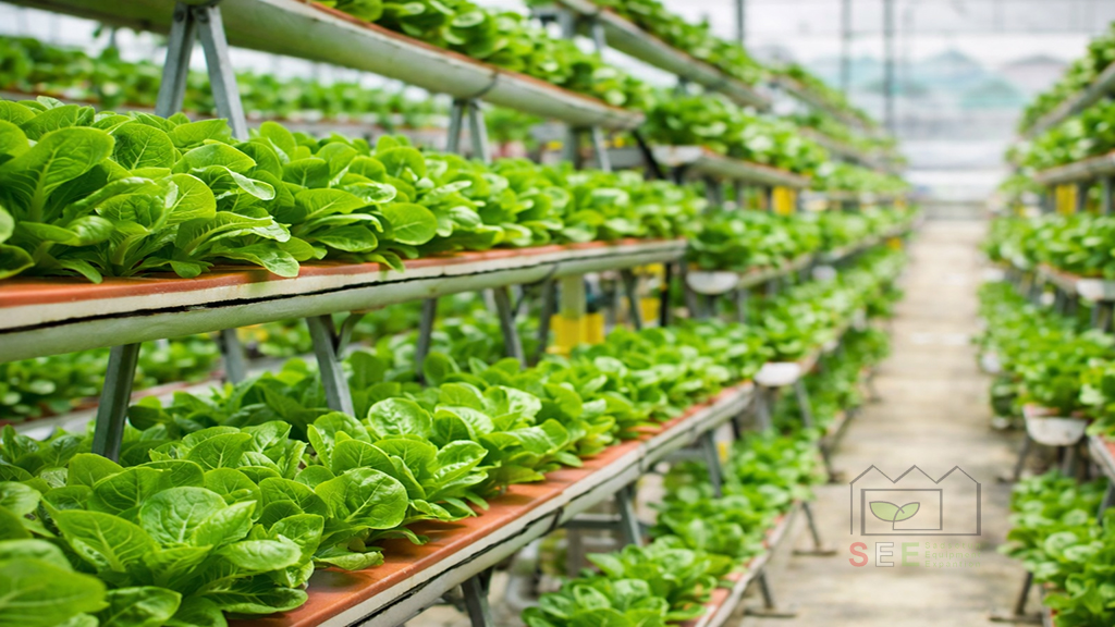 محصولات مناسب برای پرورش در گلخانه هیدروپونیک عمودی