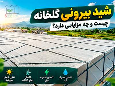 شید بیرونی گلخانه چیست؟ مزایا، عملکرد و تأثیر آن بر مصرف انرژی