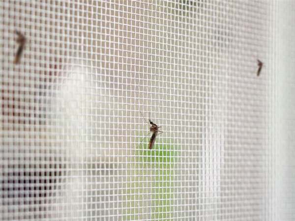 توری ضد حشره گلخانه